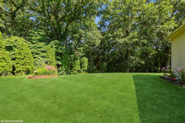 4175 Schmuhl Rd, Coloma, MI 49038 - view of green lawn