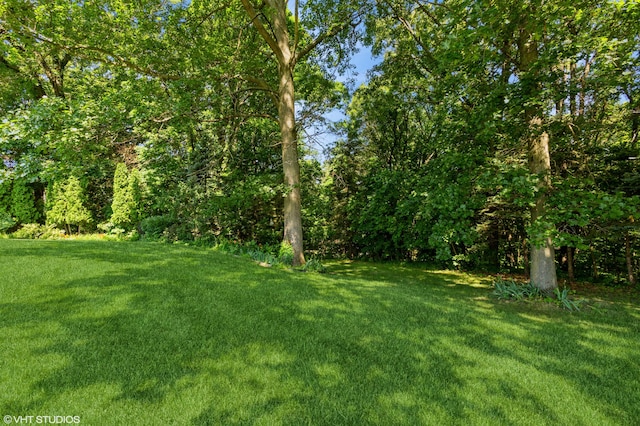 4175 Schmuhl Rd, Coloma, MI 49038 - view of grassy yard