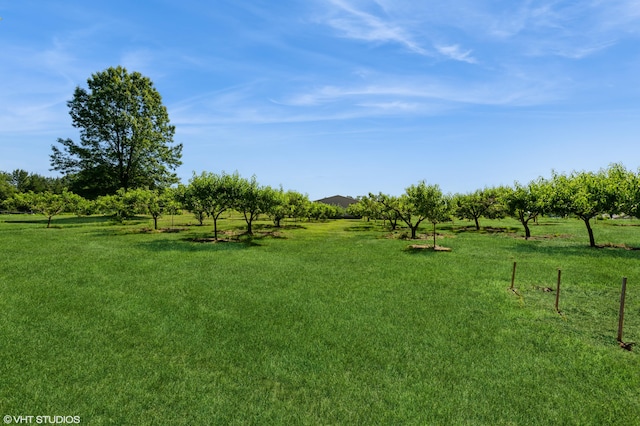4175 Schmuhl Rd, Coloma, MI 49038 - view of green lawn