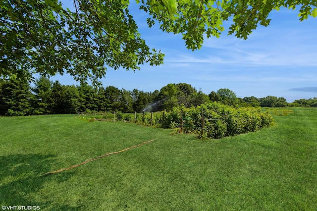 4175 Schmuhl Rd, Coloma, MI 49038 - view of green lawn