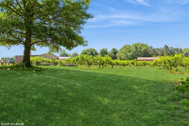 4175 Schmuhl Rd, Coloma, MI 49038 - view of grassy yard