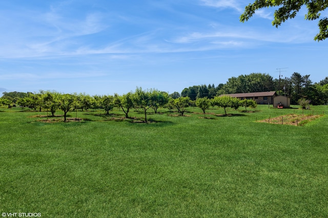 4175 Schmuhl Rd, Coloma, MI 49038 - view of grassy yard featuring a view of rural / pastoral area