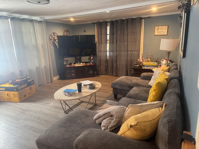 512 Green St, Dowagiac, MI 49047 - living room featuring wood finished floors