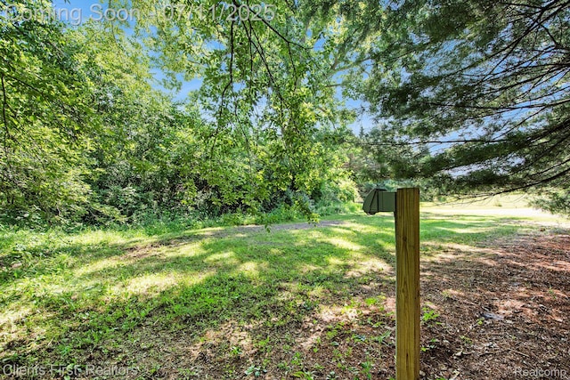 16501 Winters Rd, Grass Lake, MI 49240 - view of yard