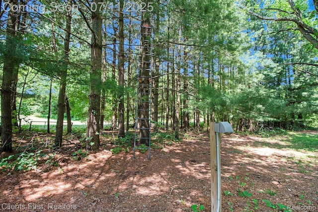 16501 Winters Rd, Grass Lake, MI 49240 - view of undeveloped land