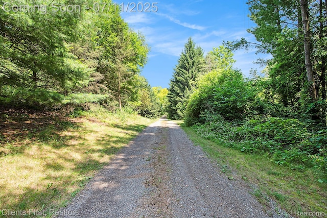 16501 Winters Rd, Grass Lake, MI 49240 - view of dirt / gravel road featuring a wooded view