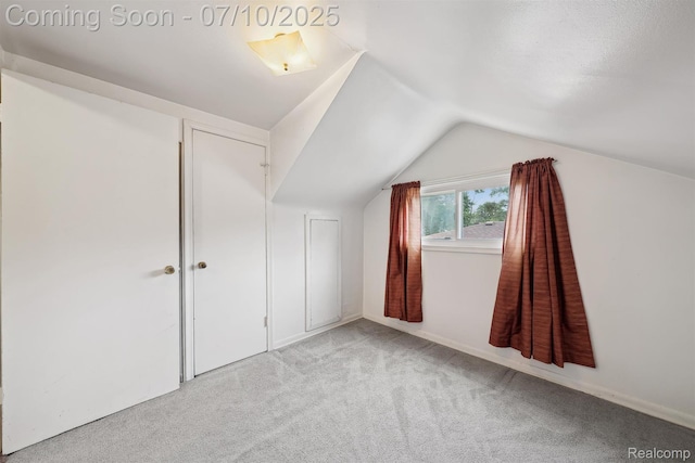 4309 Marr Ave, Warren, MI 48091 - additional living space featuring carpet flooring and lofted ceiling