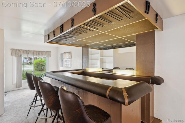 4309 Marr Ave, Warren, MI 48091 - indoor dry bar with carpet flooring