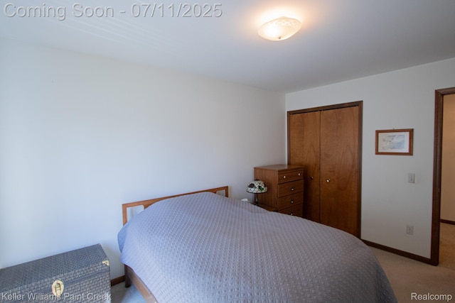 48600 Meadowcrest Dr, Macomb, MI 48044 - bedroom with light carpet and a closet