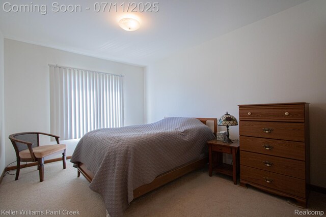 48600 Meadowcrest Dr, Macomb, MI 48044 - bedroom featuring light colored carpet