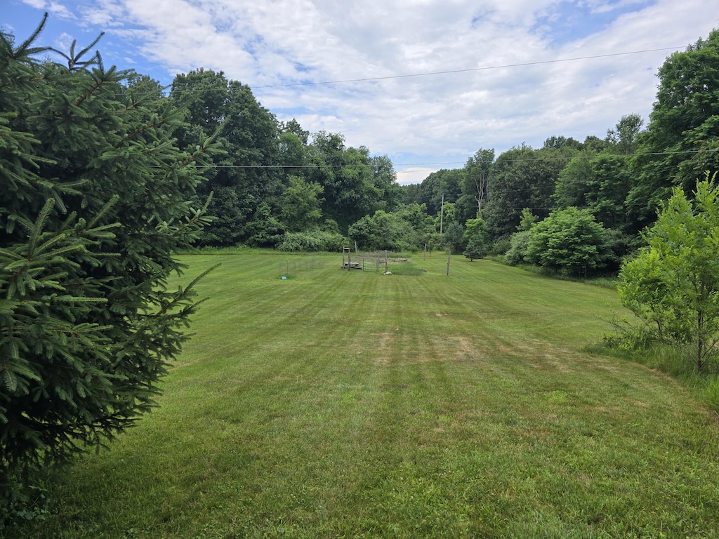 7425 Moeckel Rd, Grass Lake, MI 49240 - view of grassy yard