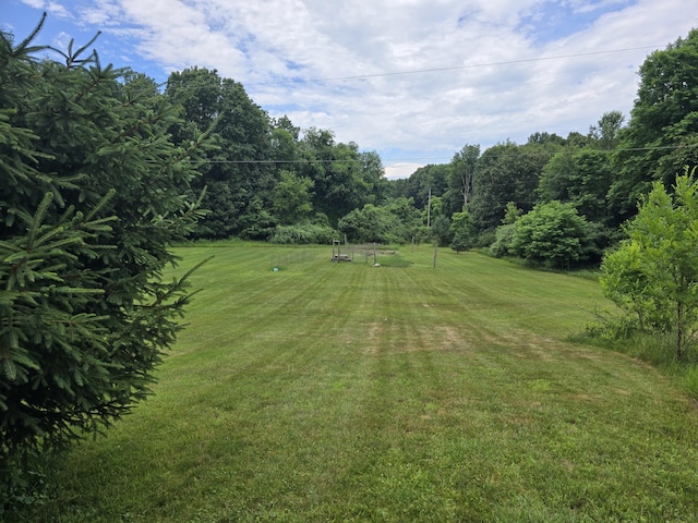 7425 Moeckel Rd, Grass Lake, MI 49240 - view of grassy yard