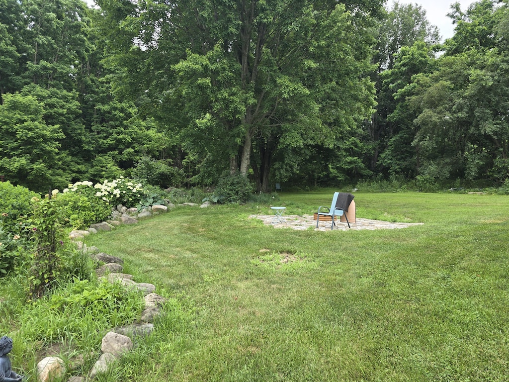 7425 Moeckel Rd, Grass Lake, MI 49240 - view of grassy yard with an outdoor fire pit and a forest view