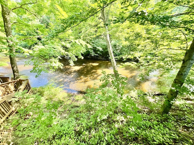 18572 Oxbow Dr, Barryton, MI 49305 - view of undeveloped land
