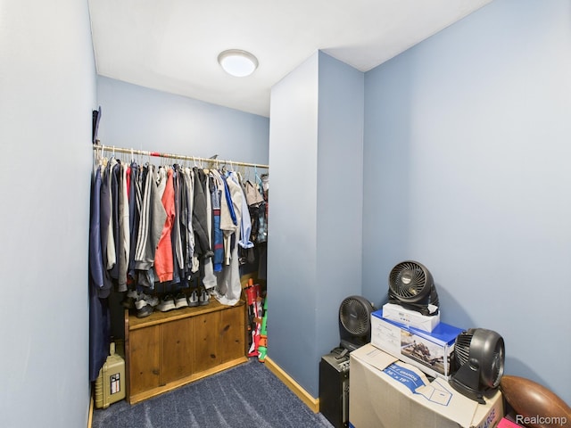 193 Miller Lake Rd, Columbiaville, MI 48421 - spacious closet featuring carpet flooring