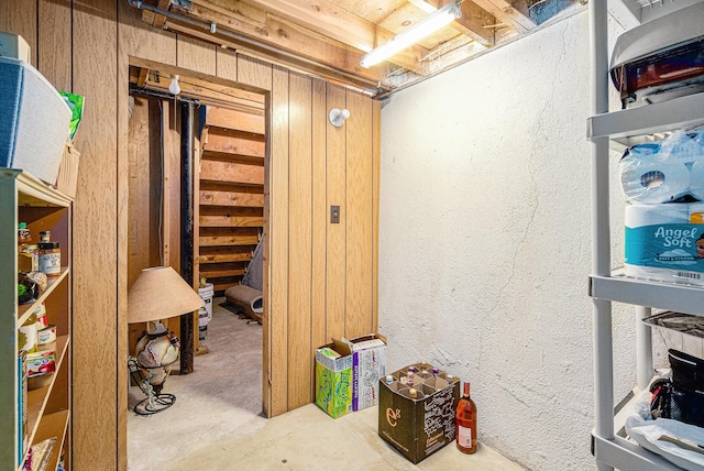 256 Nichols Dr, Saline, MI 48176 - unfinished below grade area with wood walls