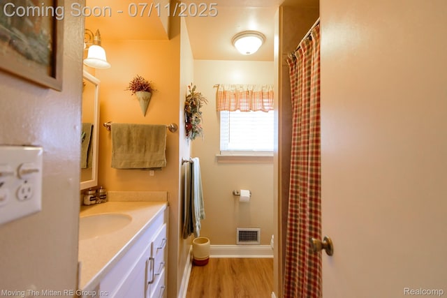 13620 Aston St, Romulus, MI 48174 - full bath with vanity, wood finished floors, and a shower with curtain