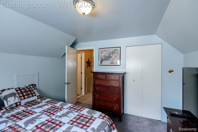 13620 Aston St, Romulus, MI 48174 - carpeted bedroom featuring a closet and lofted ceiling