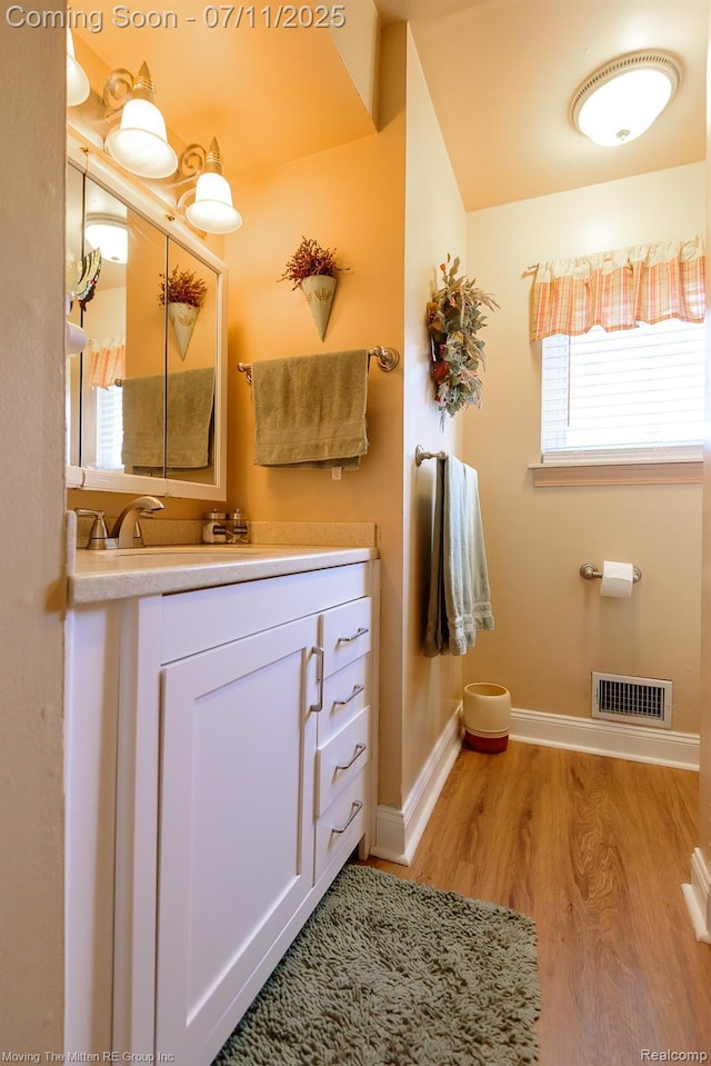 13620 Aston St, Romulus, MI 48174 - bathroom featuring wood finished floors and vanity