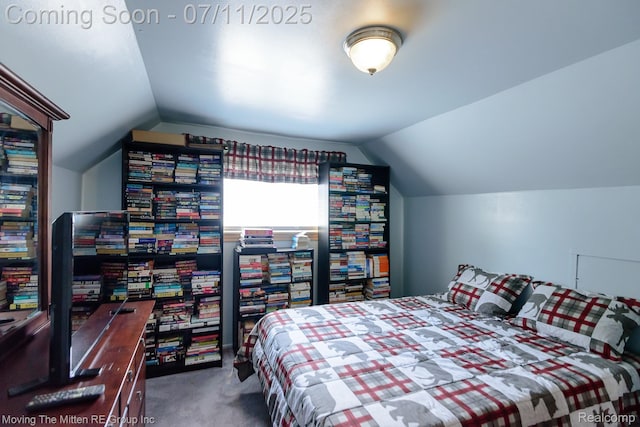13620 Aston St, Romulus, MI 48174 - carpeted bedroom with vaulted ceiling