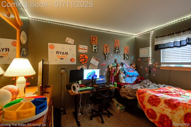 13620 Aston St, Romulus, MI 48174 - bedroom with carpet floors