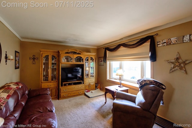 13620 Aston St, Romulus, MI 48174 - living room with light colored carpet and crown molding