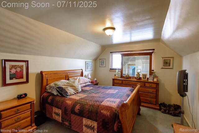13620 Aston St, Romulus, MI 48174 - bedroom with dark carpet and lofted ceiling