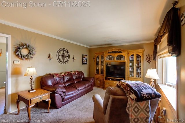 13620 Aston St, Romulus, MI 48174 - living room with light colored carpet and crown molding