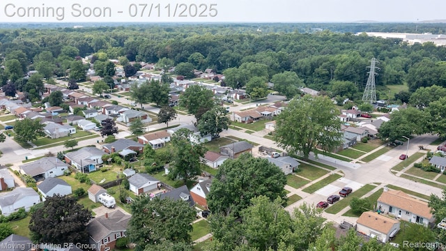 13620 Aston St, Romulus, MI 48174 - aerial view of residential area featuring a heavily wooded area