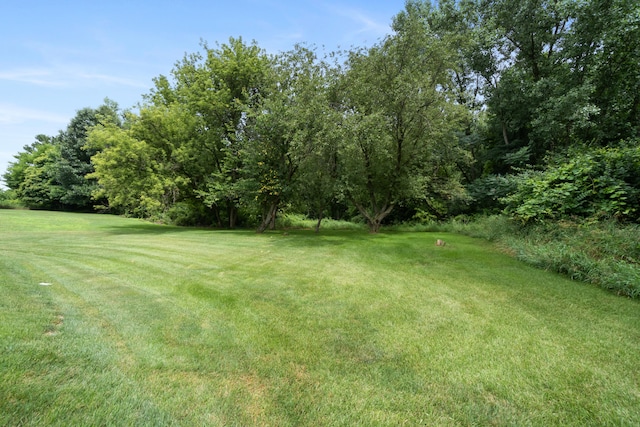 2230 Oleary Rd, Jackson, MI 49201 - view of grassy yard