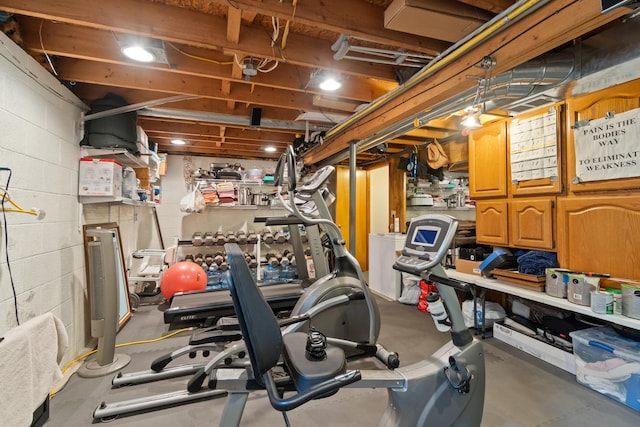 2230 Oleary Rd, Jackson, MI 49201 - exercise room featuring concrete block wall
