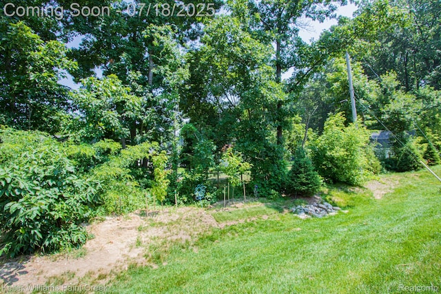 4317 Silica Dr, Lake Orion, MI 48359 - photo 34