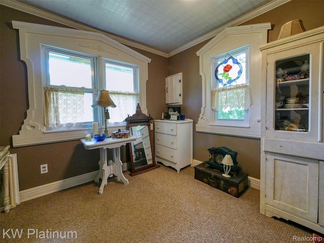 6636 Broadbridge Rd, Cottrellville, MI 48039 - home office featuring light carpet and baseboards