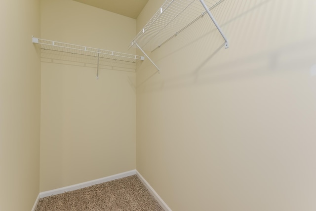 LOT128 Old Farm Dr, Wayland, MI 49348 - walk in closet with carpet flooring