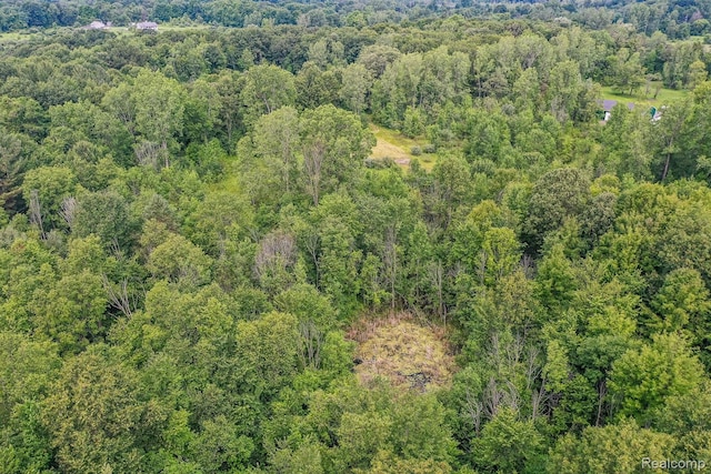 3309 Rochester Rd, Leonard, MI 48367