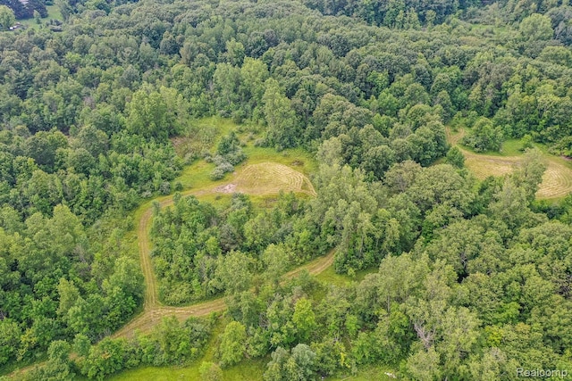 3309 Rochester Rd, Leonard, MI 48367