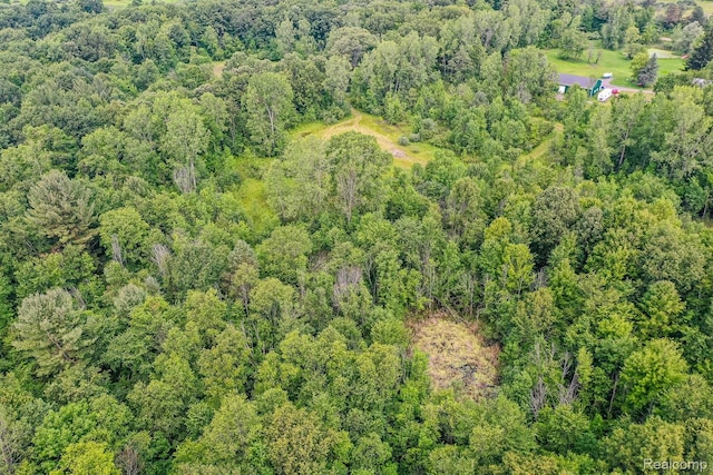 3309 Rochester Rd, Leonard, MI 48367