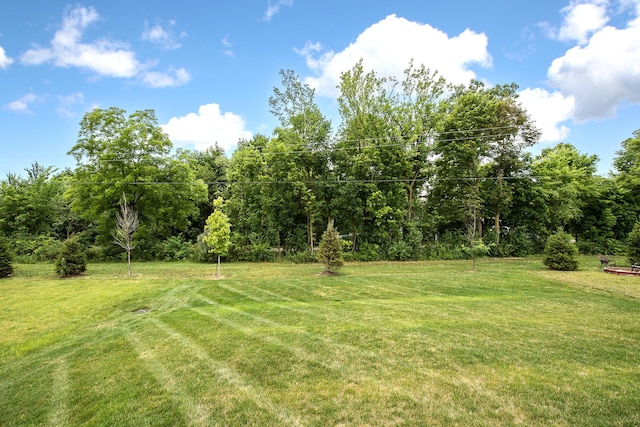 2448 Meadow Hills Dr, Ann Arbor, MI 48108 - view of grassy yard
