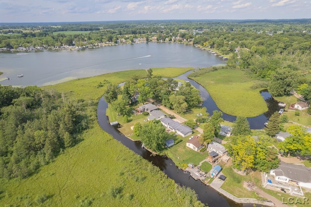 753 Vaniman Island Dr, Brooklyn, MI 49230 - aerial view of property's location with a nearby body of water and a forest