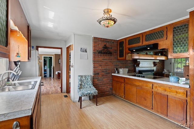 753 Vaniman Island Dr, Brooklyn, MI 49230 - kitchen with under cabinet range hood, black electric cooktop, light countertops, light wood-style flooring, and ornamental molding