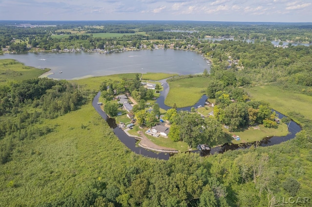 753 Vaniman Island Dr, Brooklyn, MI 49230 - aerial view of property's location featuring a nearby body of water