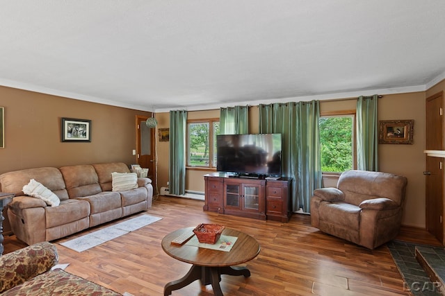 753 Vaniman Island Dr, Brooklyn, MI 49230 - living room featuring wood finished floors, plenty of natural light, and crown molding