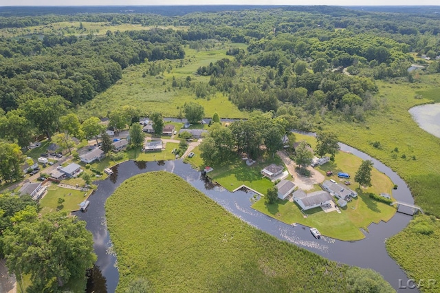 753 Vaniman Island Dr, Brooklyn, MI 49230 - aerial view of property and surrounding area with a large body of water and a heavily wooded area