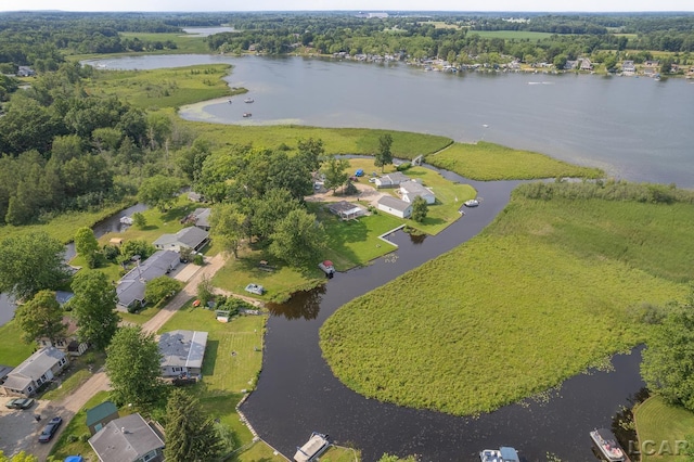 753 Vaniman Island Dr, Brooklyn, MI 49230 - aerial view of property and surrounding area with a nearby body of water