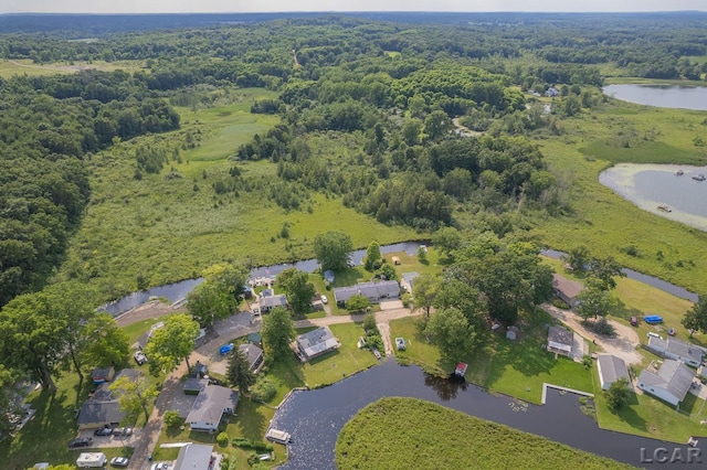 753 Vaniman Island Dr, Brooklyn, MI 49230 - aerial view of property's location with a large body of water and a forest