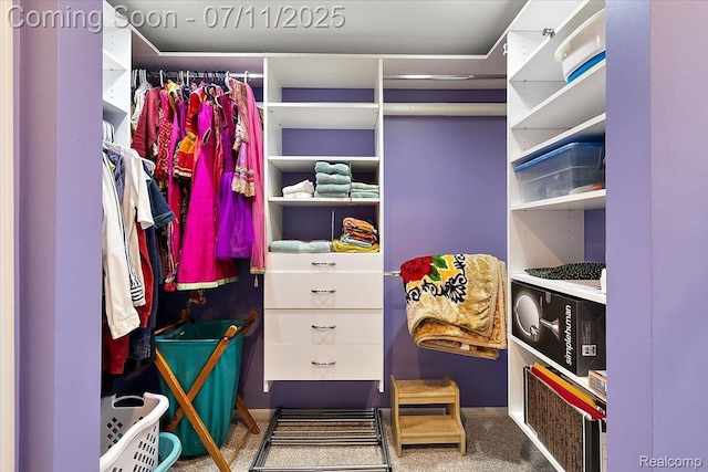 2403 Red Maple Ct, Troy, MI 48098 - spacious closet featuring carpet floors