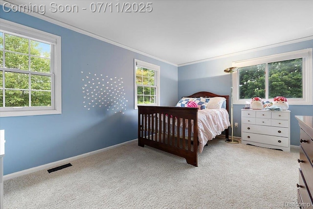 2403 Red Maple Ct, Troy, MI 48098 - carpeted bedroom featuring crown molding and multiple windows