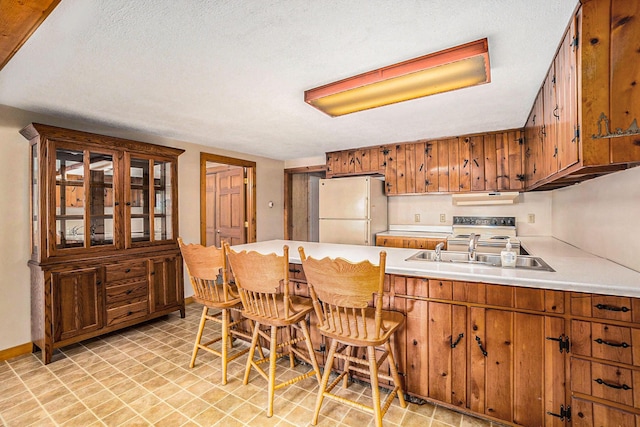 193 S Emerson Dr, Branch, MI 49402 - kitchen featuring white appliances, under cabinet range hood, light countertops, a peninsula, and brown cabinets