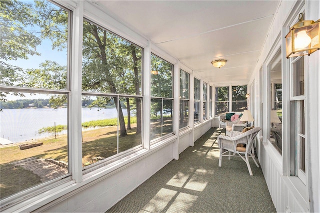193 S Emerson Dr, Branch, MI 49402 - sunroom / solarium featuring a water view