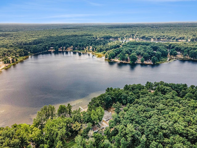 193 S Emerson Dr, Branch, MI 49402 - bird's eye view of a heavily wooded area and a large body of water